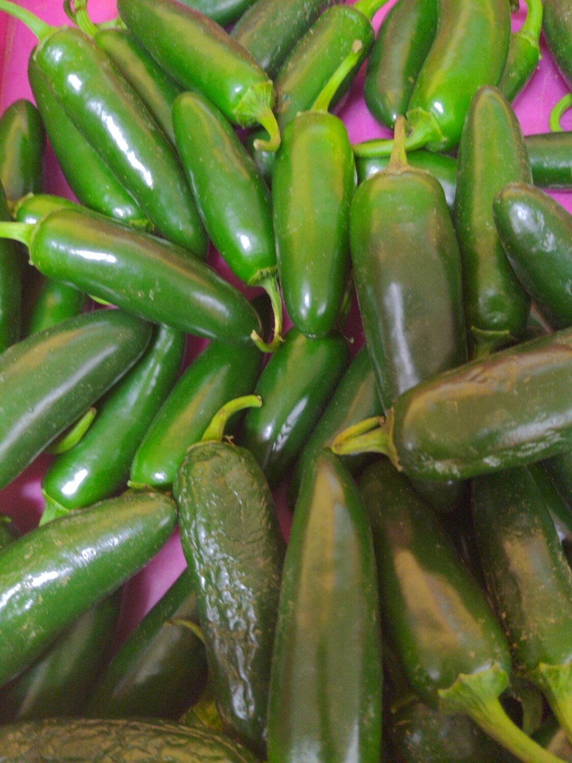 Peppers-Jalapeño, Hlubik's Peppers-Jalapeño, Hlubik's