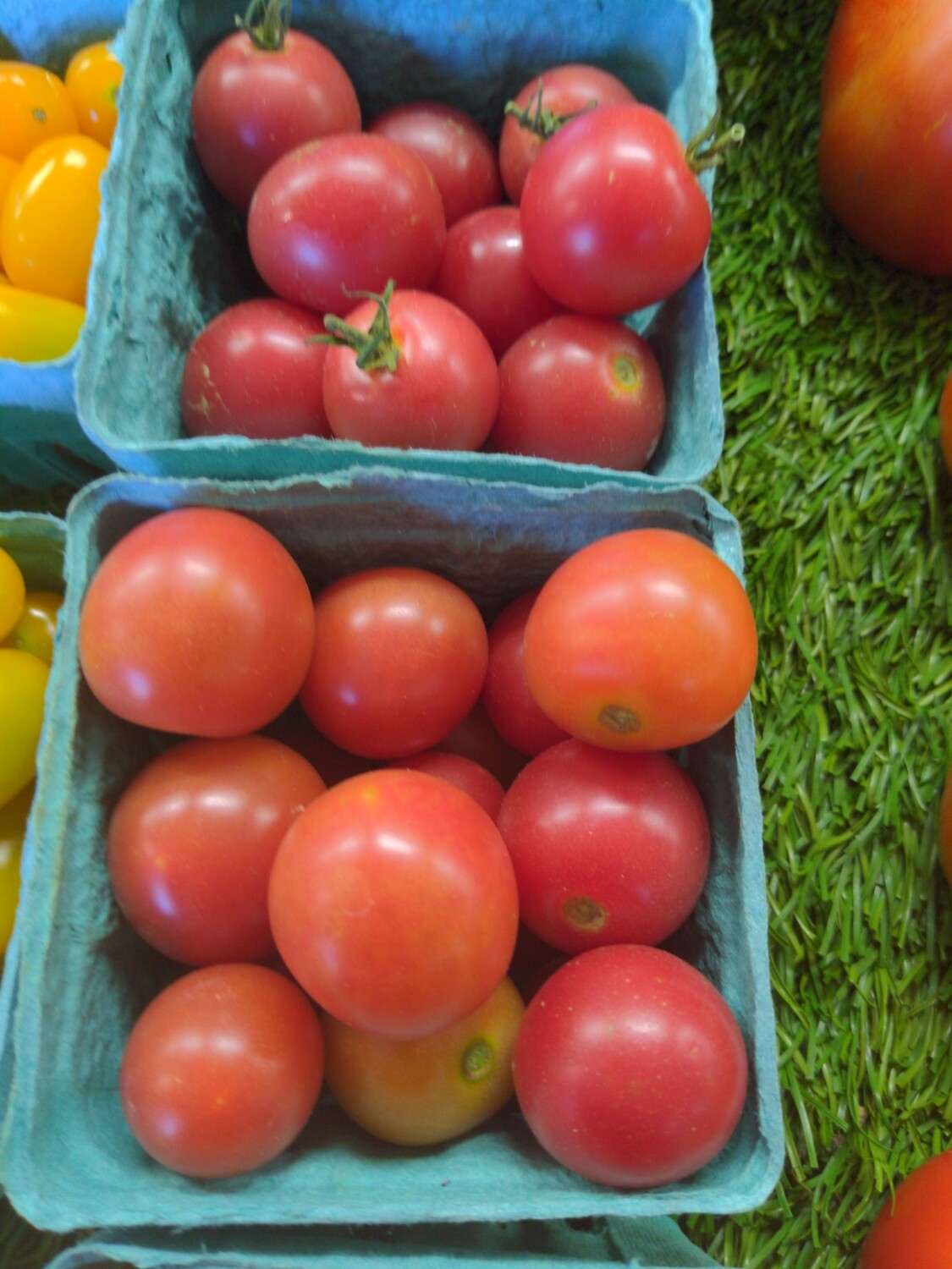 Tomatoes - cherry, Hlubik's Tomatoes - cherry, Hlubik's