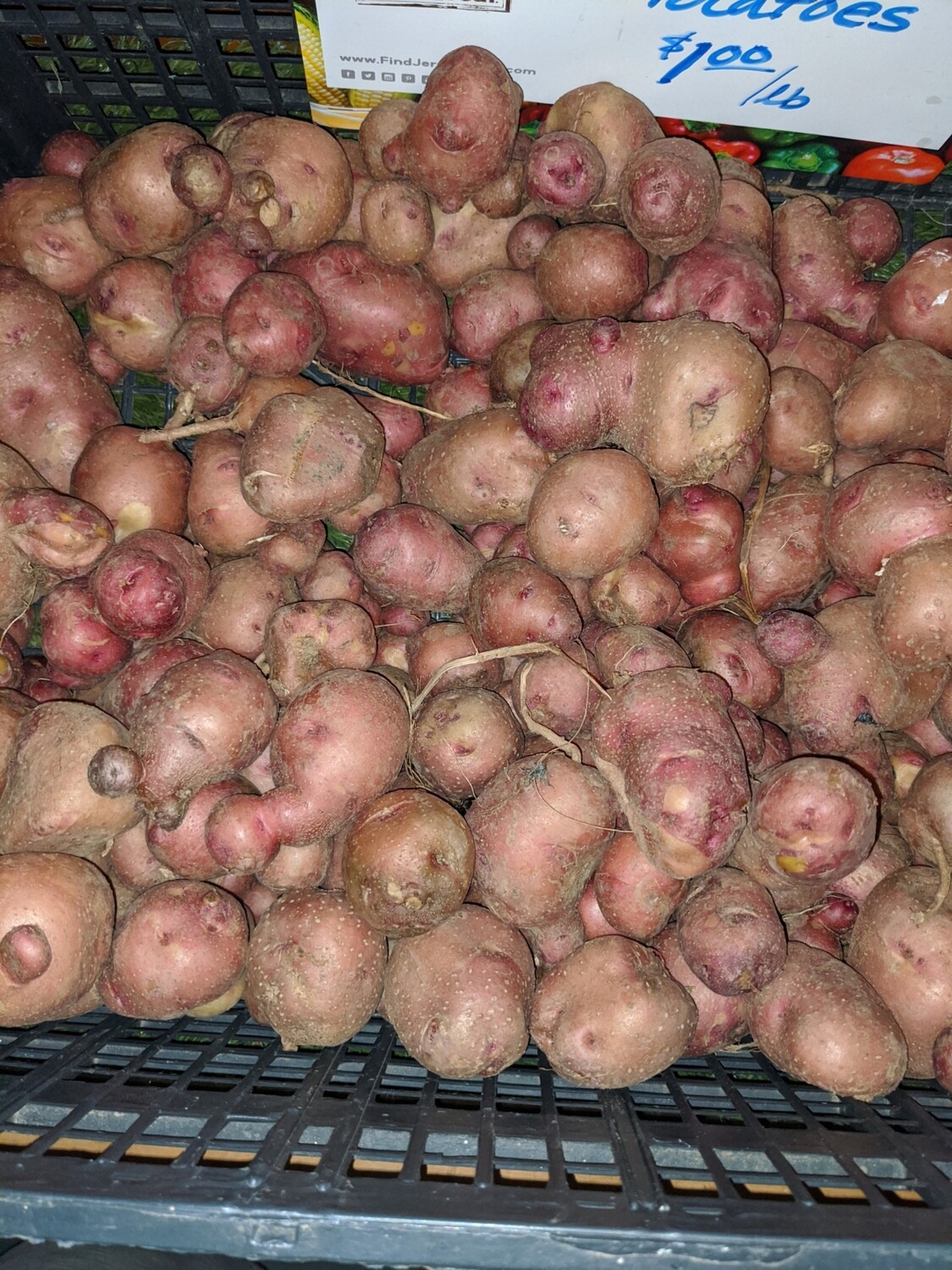 Potatoes - Jersey Fresh Red Potatoes - Jersey Fresh Red
