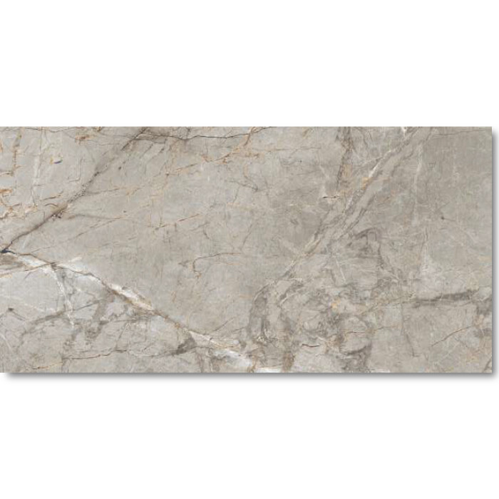PORCELANATO FLEX DOLOMITE GREY GLOSSY   60 X 120