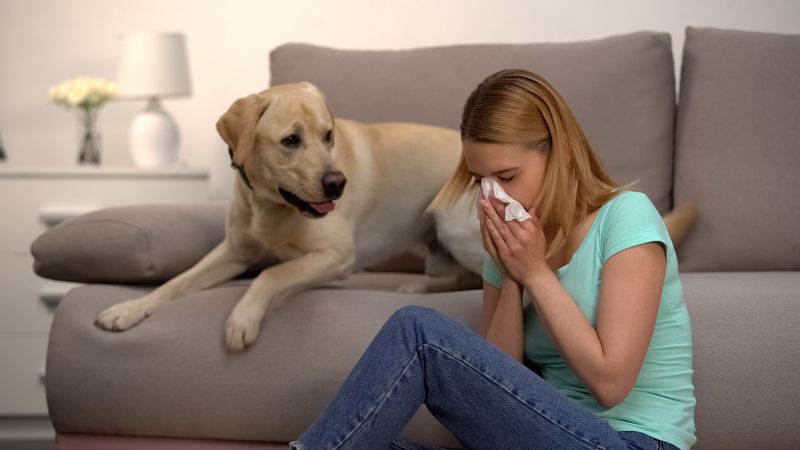 Cold/Flu Trio pack with Napacod