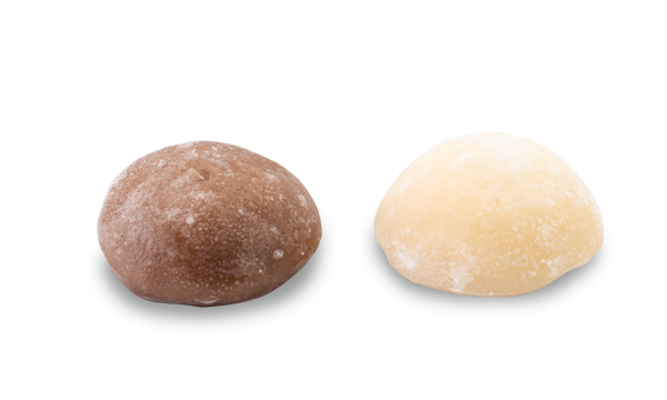 MOCHI VANILLE &amp; CHOCOLAT