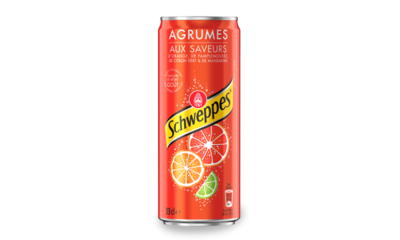 SCHWEPPES AGRUM (33 CL)