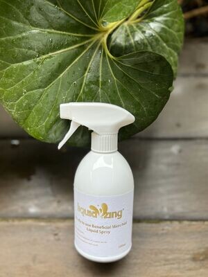 Liquid Zing 500ml