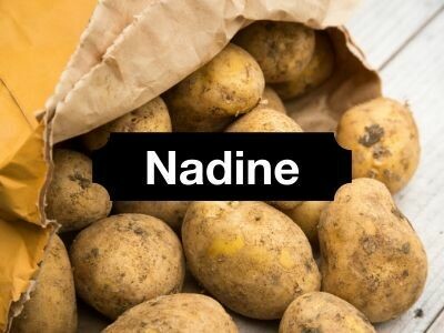 Nadine Potatoes (washed)