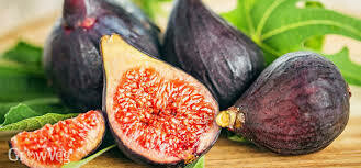 Black Mission Fig