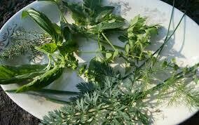 Neapolitan Herb