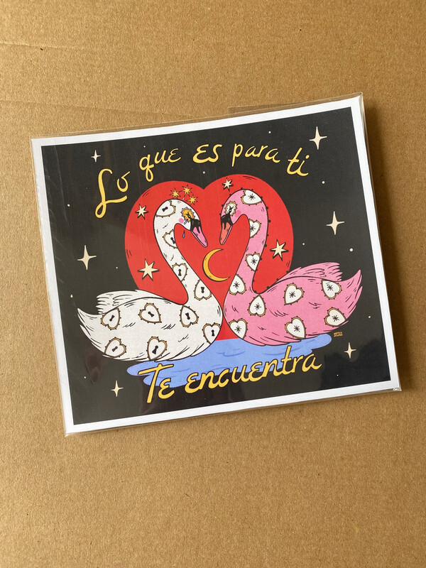 Cisnes