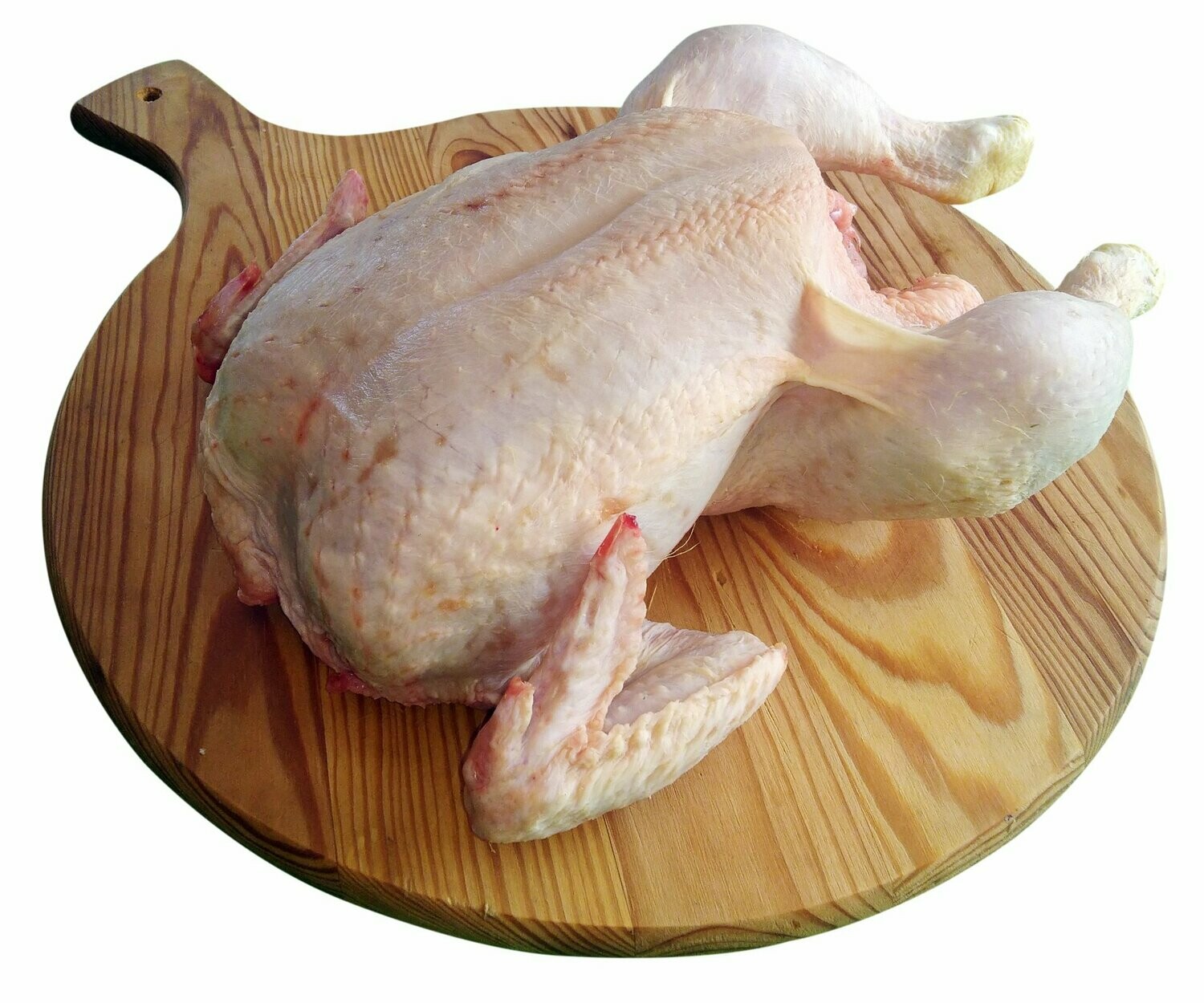 Pollo busto