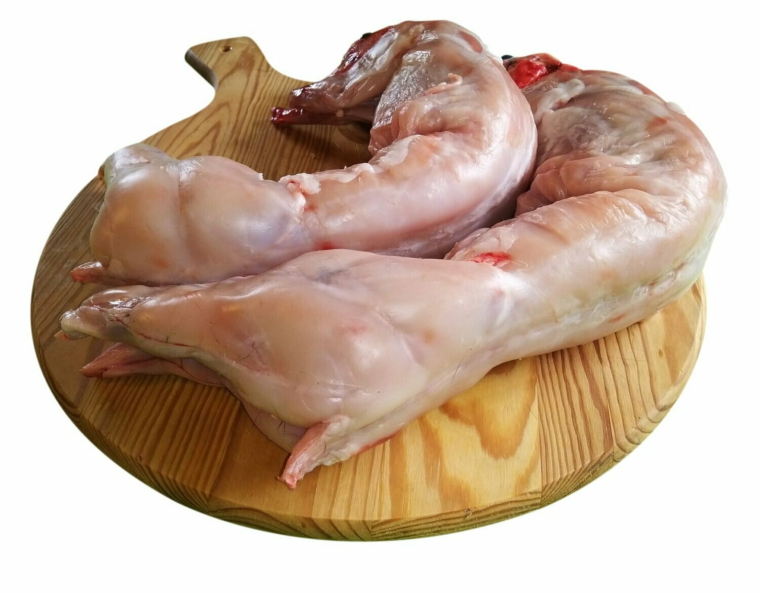 Coniglio