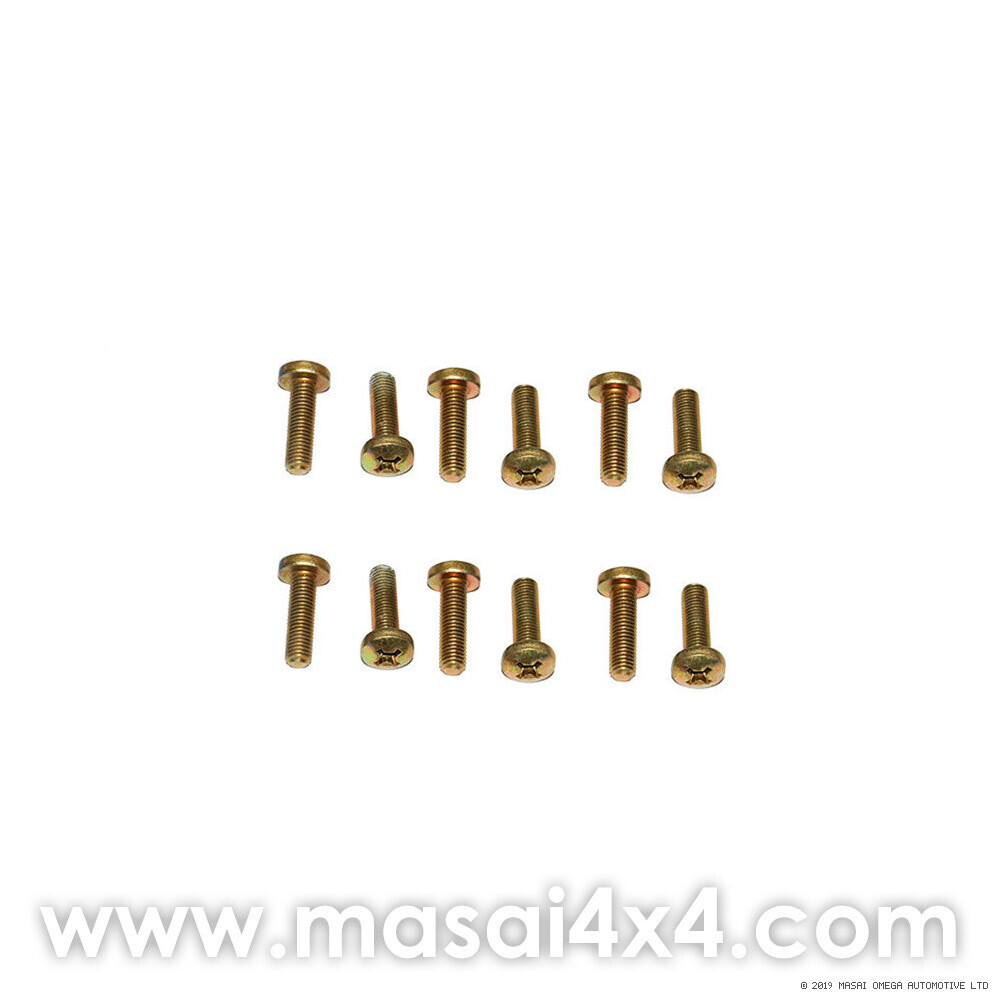 Pack of Fixing Screws for Wing mirror arms (SE604076)