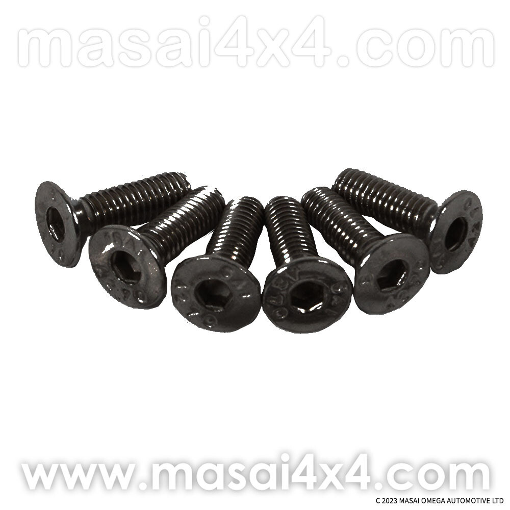 Blackened Stainless Steel Screw Kits, Quantity: 2