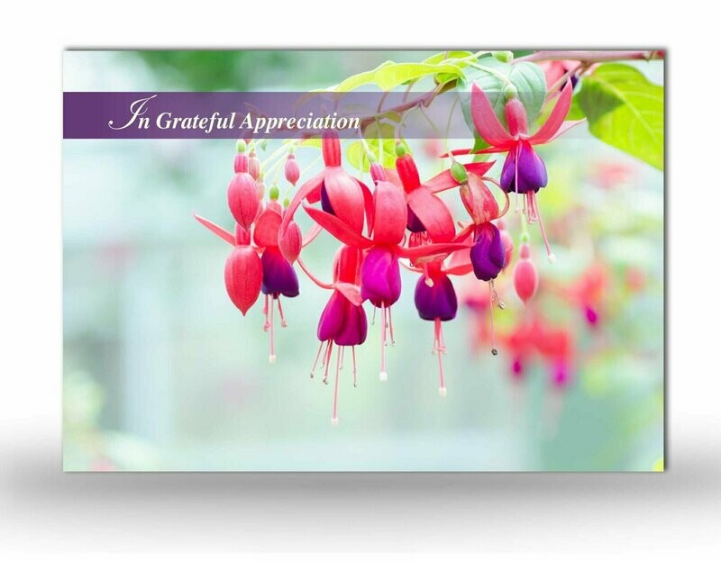 Fuchsia Memorial Acknowledgement Card NF IF 04