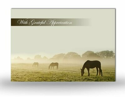 Horse Memorial Acknowlegdement Card-NFAN.01