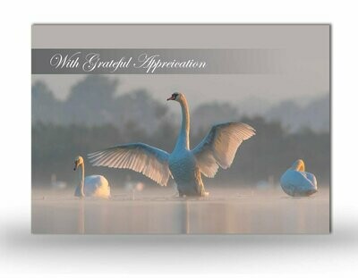 Swan Acknowledgement Card NF AN 03