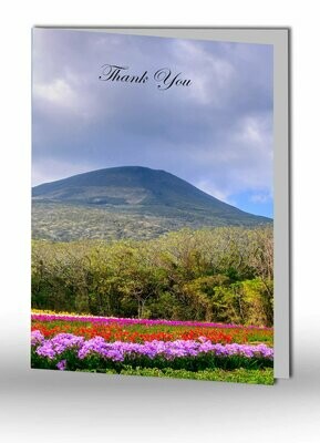 Thank You Card NF NA 01