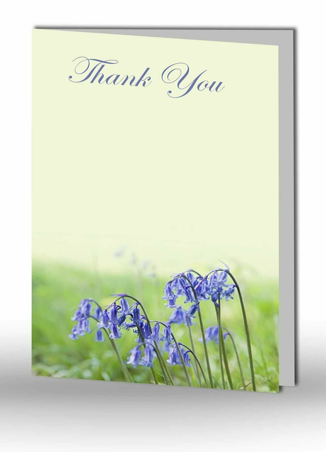 Thank You Card NF IF 01