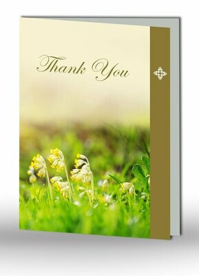 Thank You Card NF IF 06