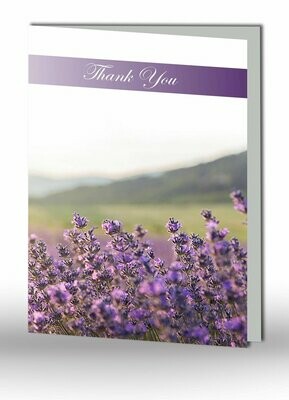Thank You Card SC IF 11