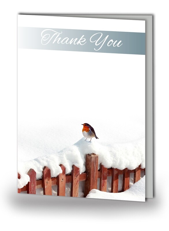 Robin Red Breast Thank You Card NF AN 05
