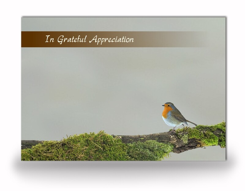 Robin Acknowledgement Card NF AN 06