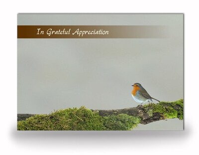 Robin Acknowledgement Card NF AN 06