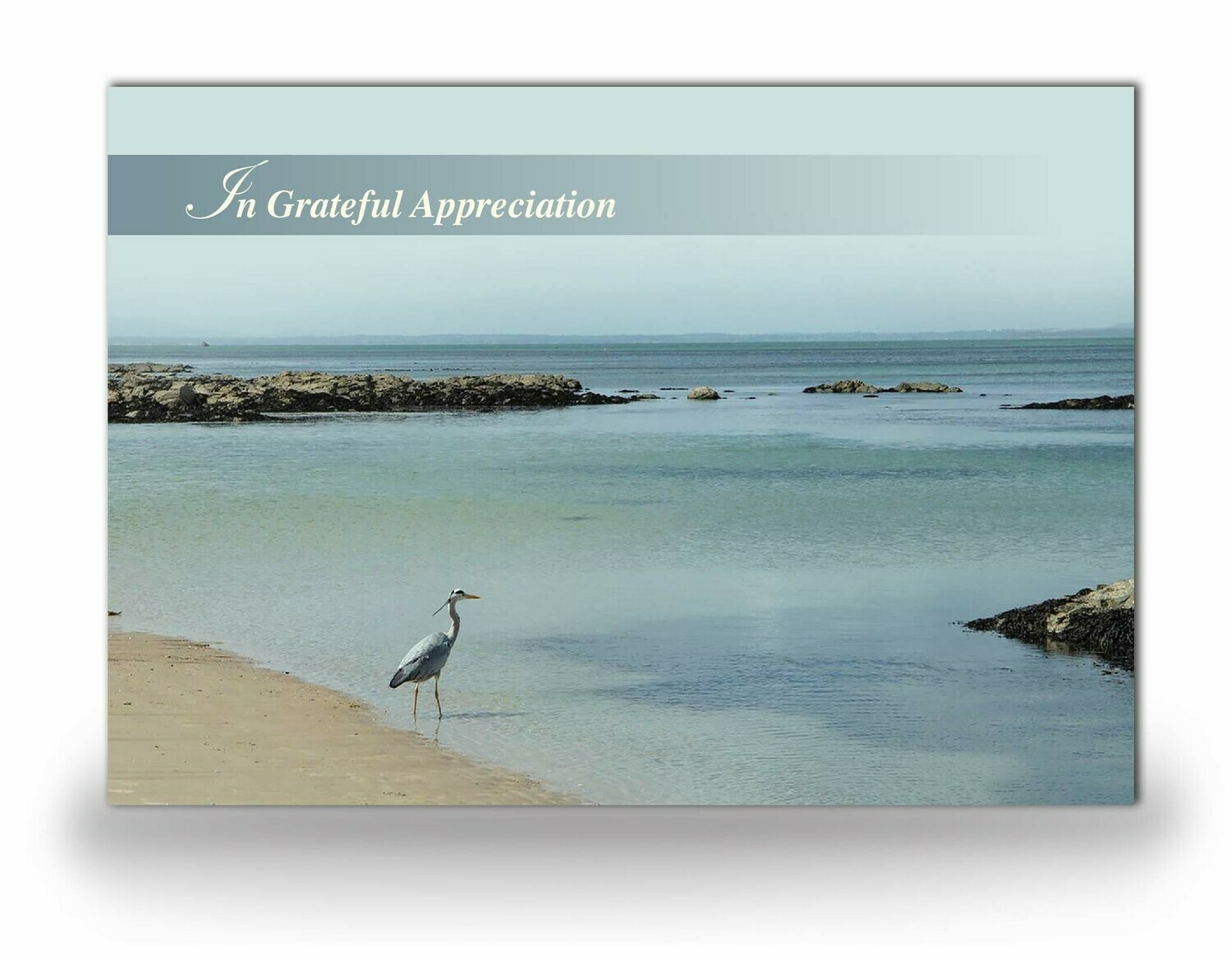 Crane Bird Acknowledgement Card NF AN 04