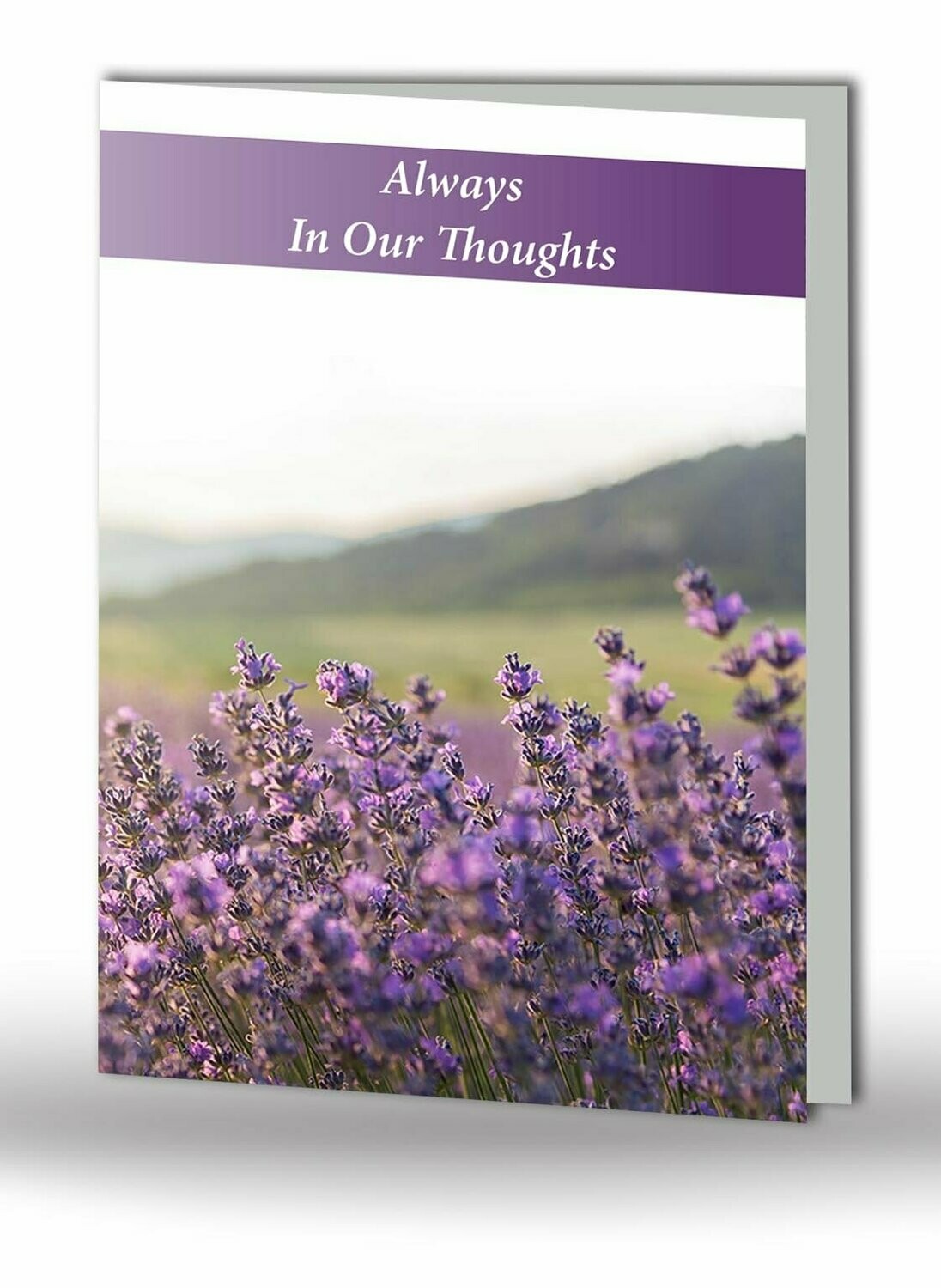 Lavender Memorial Card SC IF 11