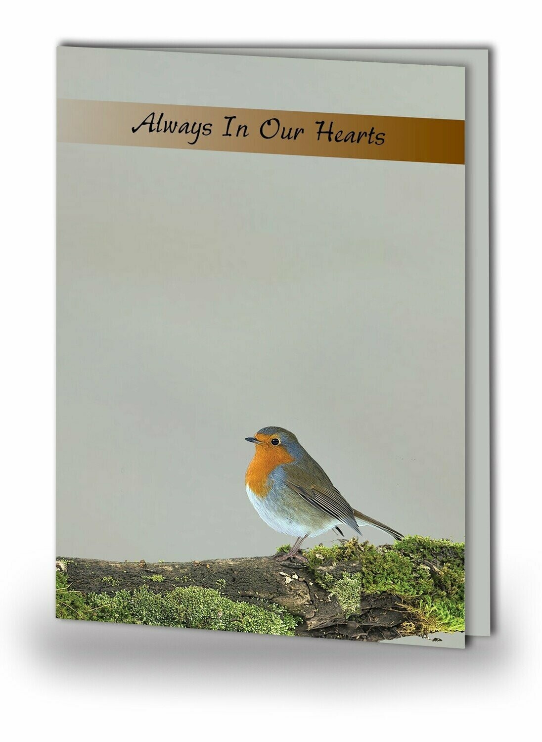Robin Red Breast Memorial Card NF AN 06