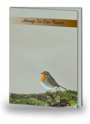 Robin Red Breast Memorial Card NF AN 06