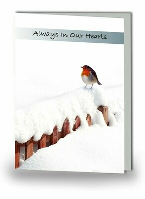 Robin Red Breast Memorial Card NF AN 05