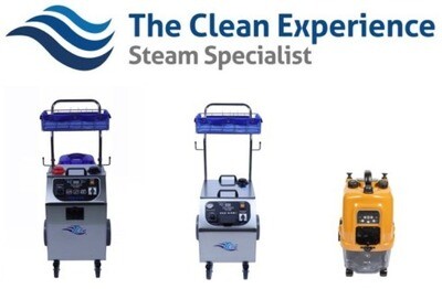 The Clean Experience Professional