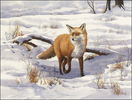 Snow Blanket Signed & Numbered Giclee by Geraldine McKeown