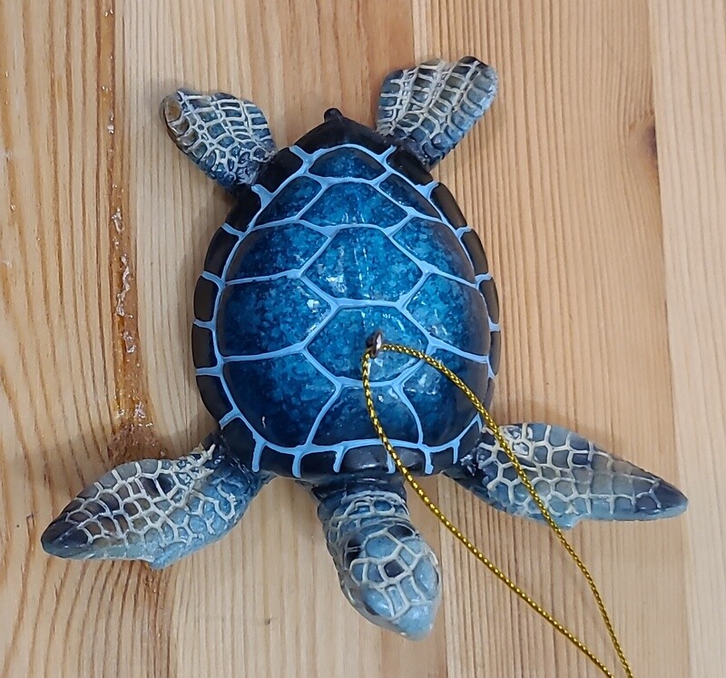 Cozumel Reef Blue Sea Turtle