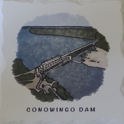 Conowingo Dam Coaster