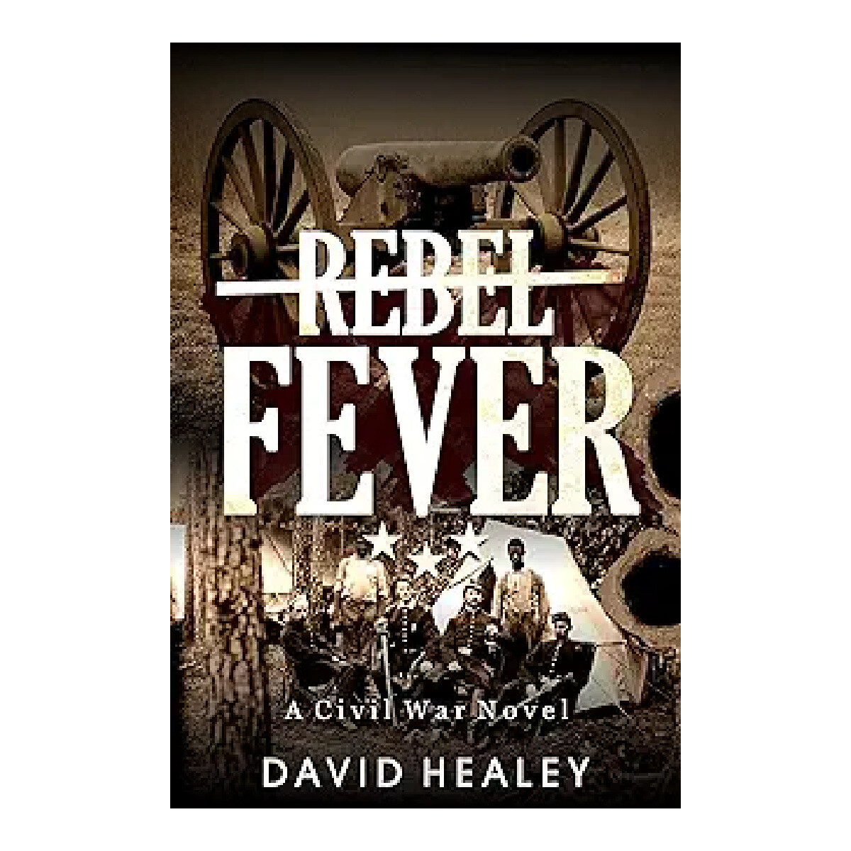Rebel Fever: A Civil War Novel by David Healey
