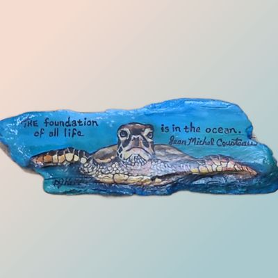 ​Turtle on Driftwood painted by D. J. Kelly