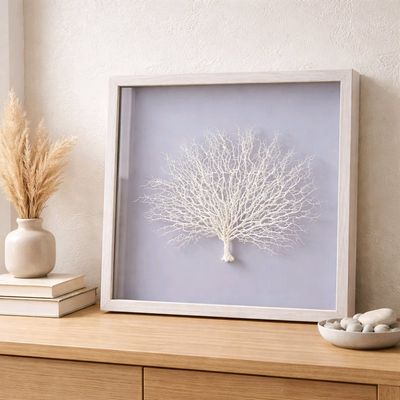 Framed Sea Fan on Blue Background Picture