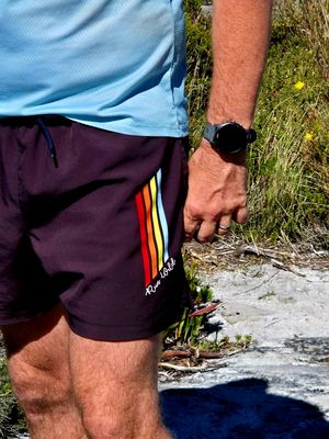 Mens Staple Shorts - Classic Stripes