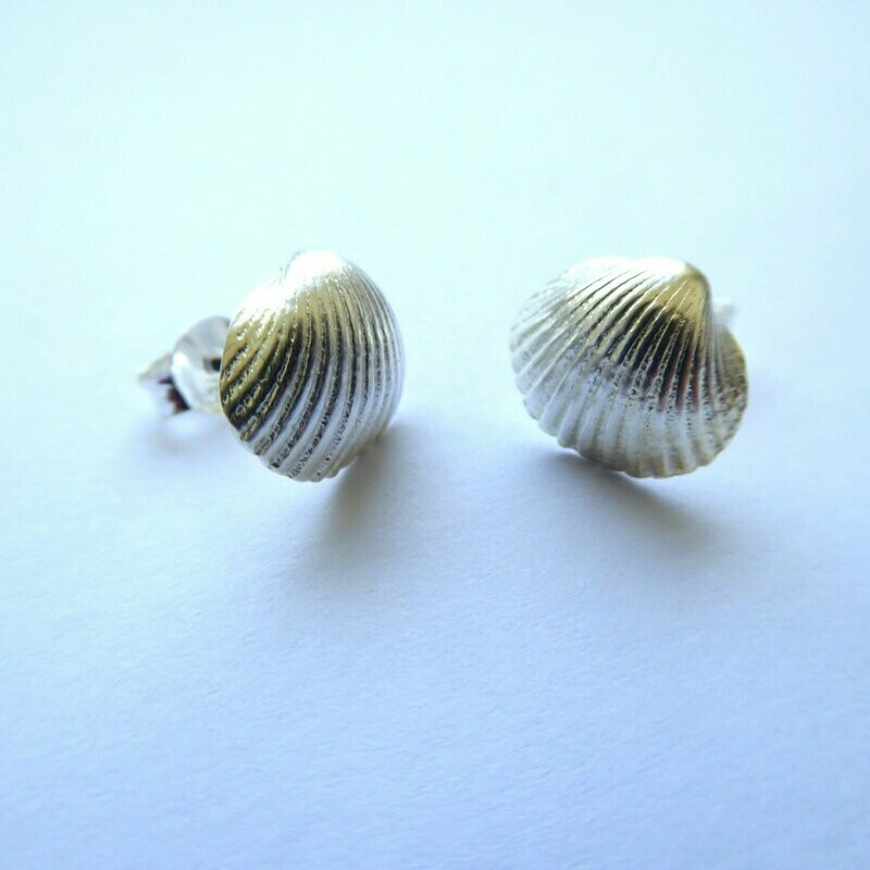 Muschel Ohrstecker Silber