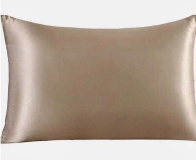 Mulberry Silk Pillow Case