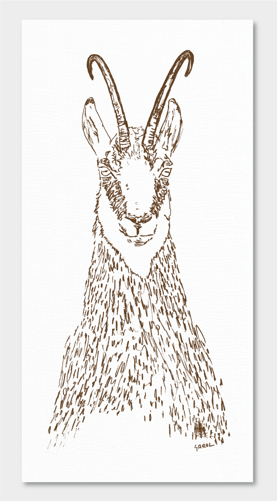 ​ILUSTRACIONES CABEZAS ANIMALES