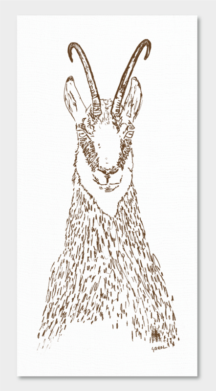 ​ILUSTRACIONES CABEZAS ANIMALES