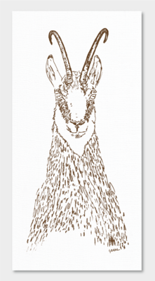​ILUSTRACIONES CABEZAS ANIMALES