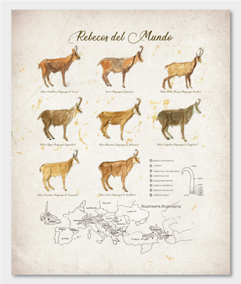 DIBUJOS Y PINTURAS 