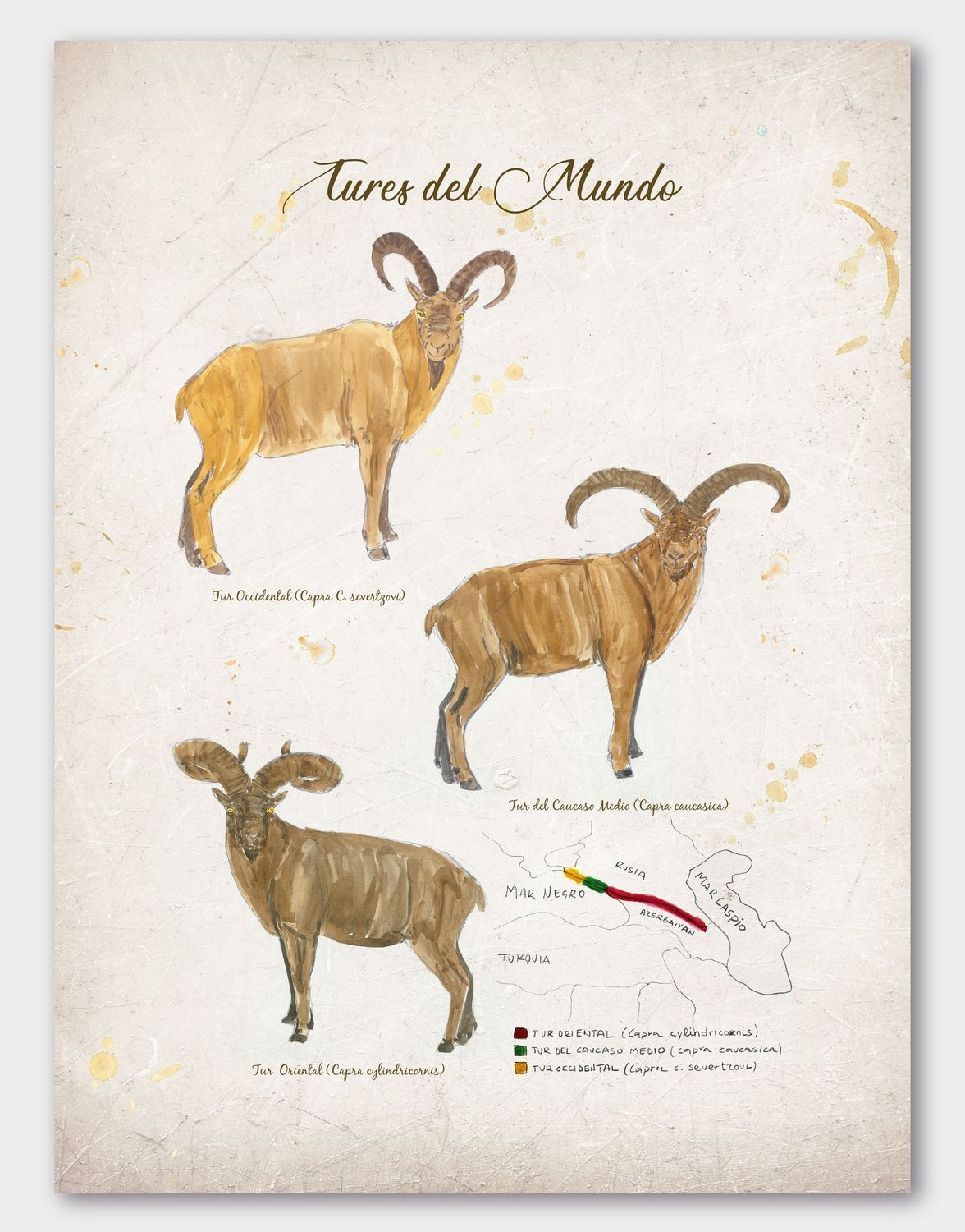 ILUSTRACIÓN TURES DEL MUNDO