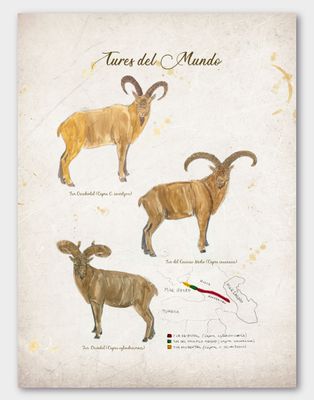 ILUSTRACIÓN TURES DEL MUNDO