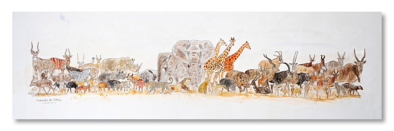 ILUSTRACIÓN ANIMALES DE AFRICA ILUSTRACIÓN ANIMALES DE AFRICA