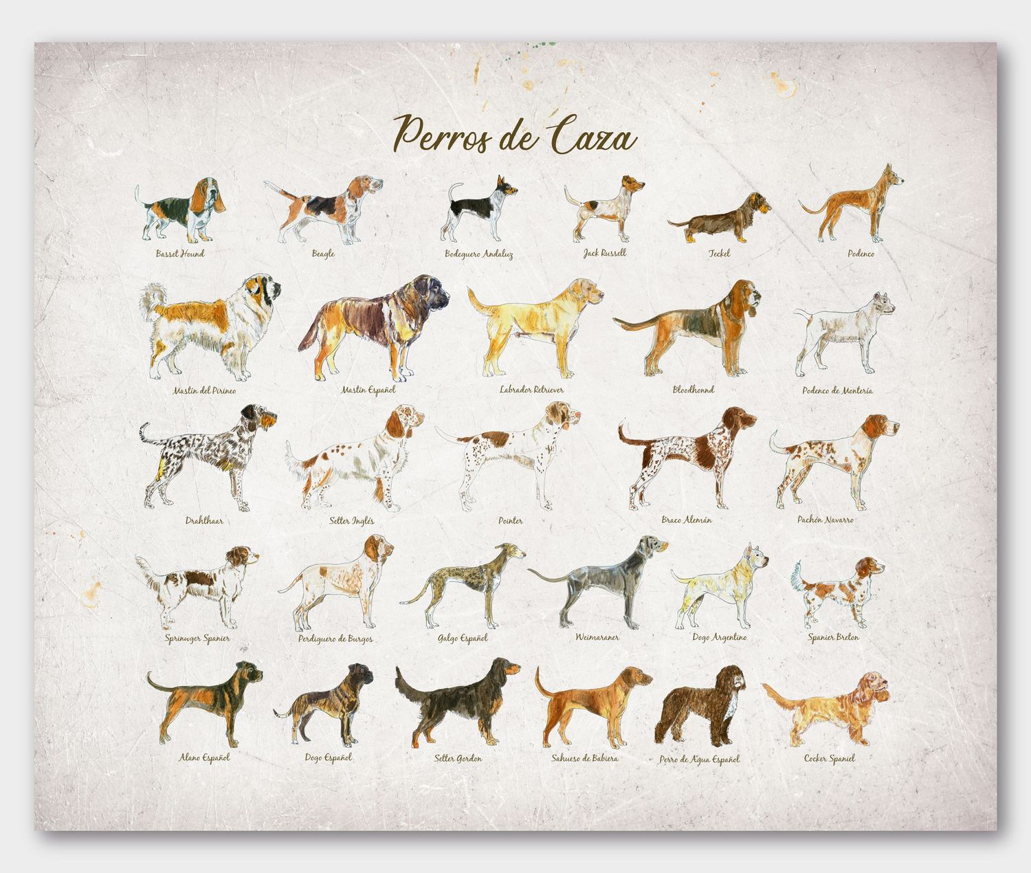 ILUSTRACION PERROS DE CAZA ILUSTRACION PERROS DE CAZA