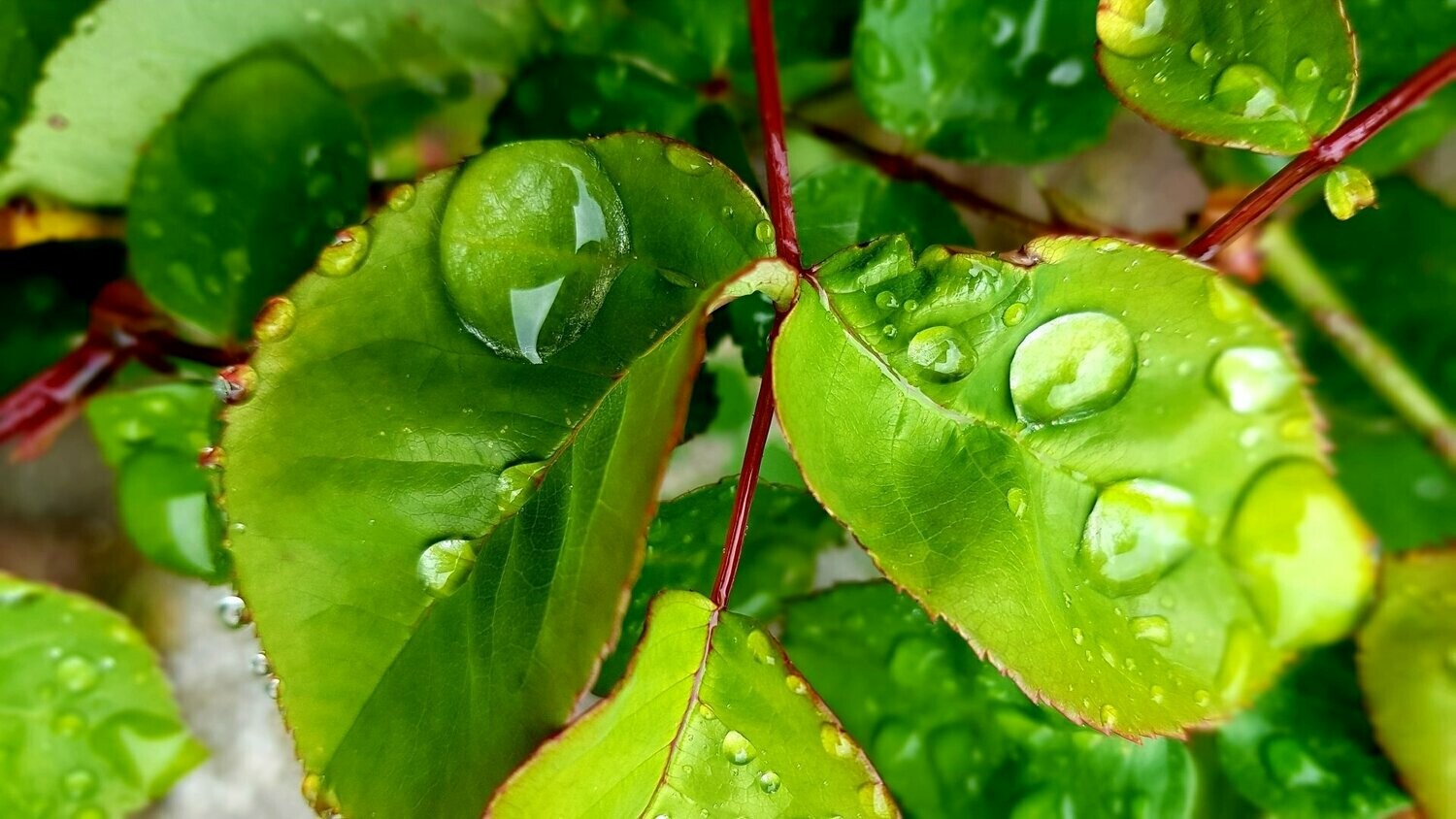 Persoonlijk afgestemde meditatie